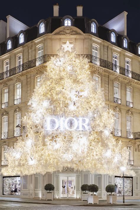 vetrine artist retail dior|dior paris boutique reviews.